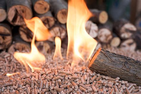 PELLETS NATURALES